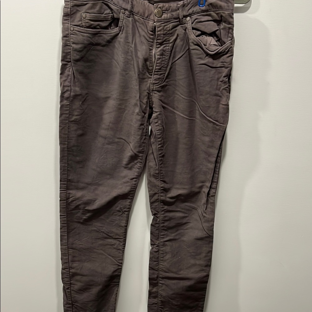 Ledbury Brown Moleskin Pant